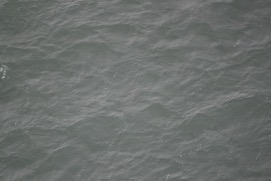 Missing Picture